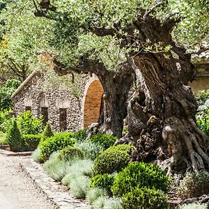 Guest house Domaine Les Mesanges, Gassin